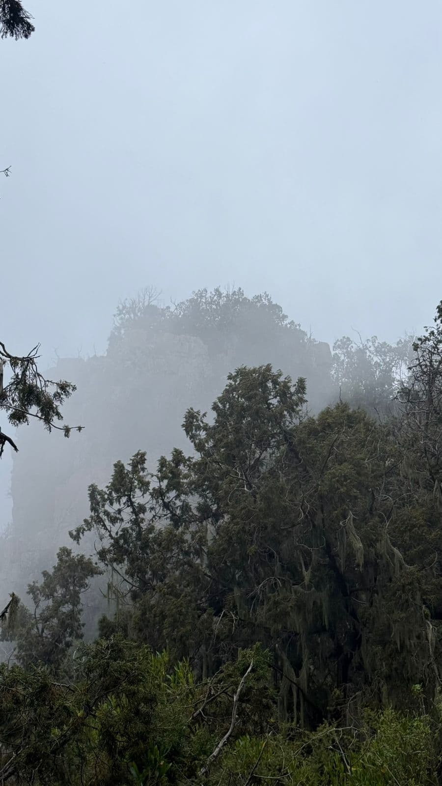 在阿西尔自然美景中心地带的苏达 (Al-Soudah) 徒步旅行和山间休闲放松 🏔️