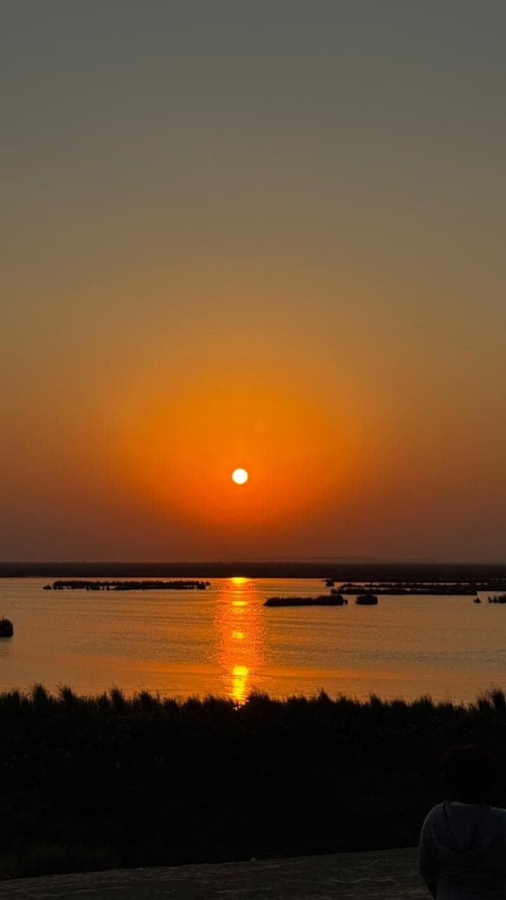 在阿赫萨的阿斯法尔湖畔体验野生动物园探险之旅