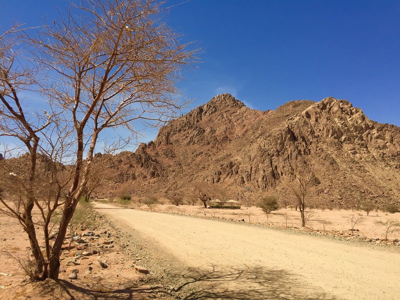 在麦地那荒野公园徒步旅行