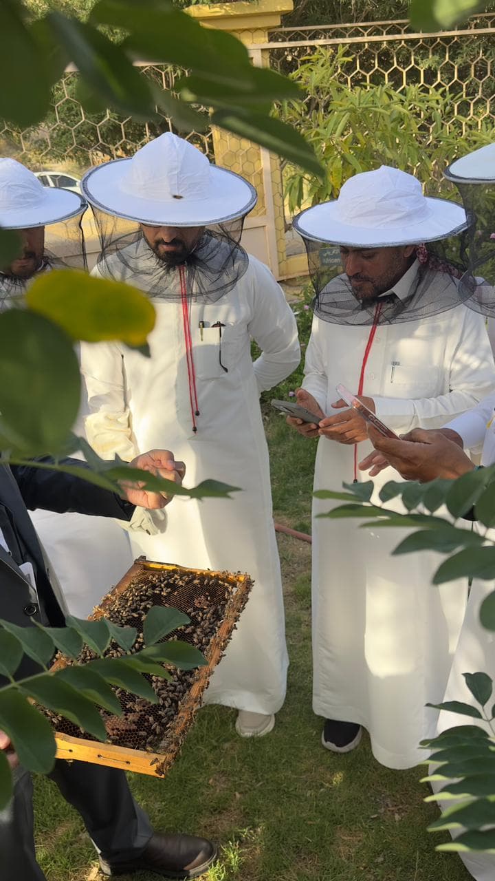 在蜜蜂旅游中探索蜜蜂和蜂蜜的秘密