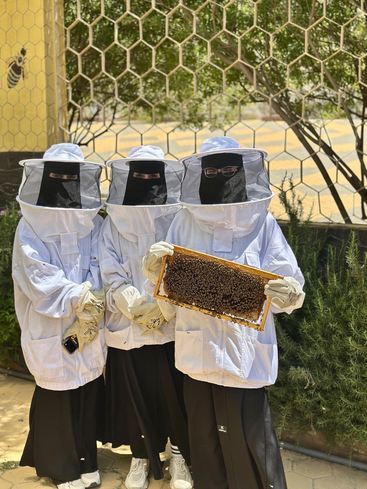 在蜜蜂旅游中探索蜜蜂和蜂蜜的秘密